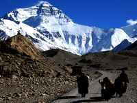 Tibet and Mt Everest Base Camp