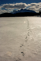 Footprints on Lake Minnewanka